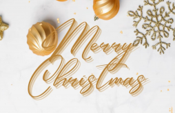 Full Screen Christmas Whatsapp Status Download