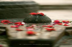 Bholenath Sawan WhatsApp Status